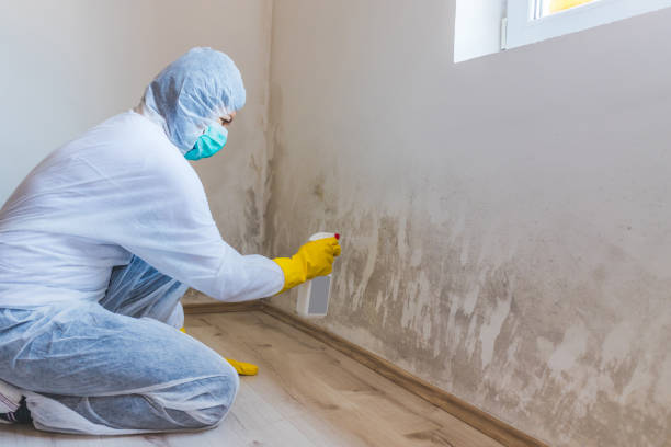 Licensed Bathroom Mold Removal service in West Decatur, PA - WQB Mold Removal