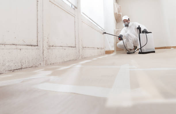 24/7 Emergency Bathroom Mold Removal experts in West Decatur, PA