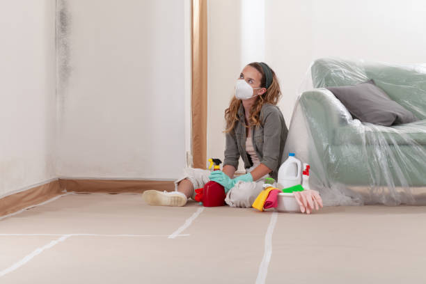 Reliable Bathroom Mold Removal contractor in West Decatur, PA by WQB Mold Removal