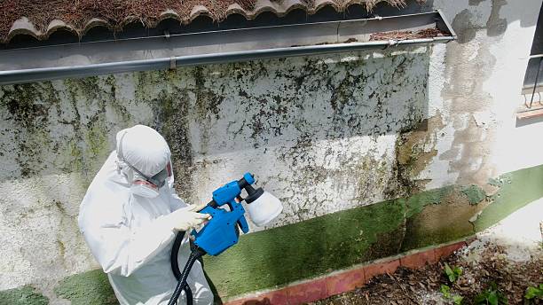 Top rated local Bathroom Mold Removal specialists in West Decatur, PA